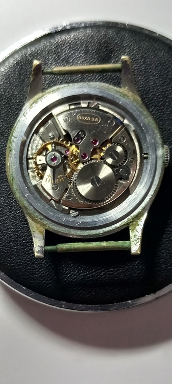20260905_075920.thumb.jpg.5c0faea94159d55cddebde57bca9ed25.jpg