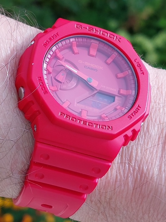20260906_094610.jpg