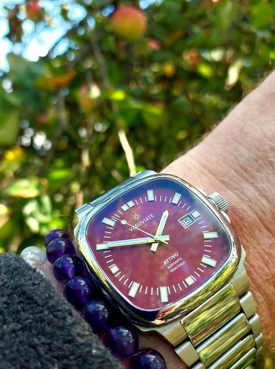 20260915_134954.thumb.jpg.bd713341a4b8e970432ee23d62d7069f.jpg