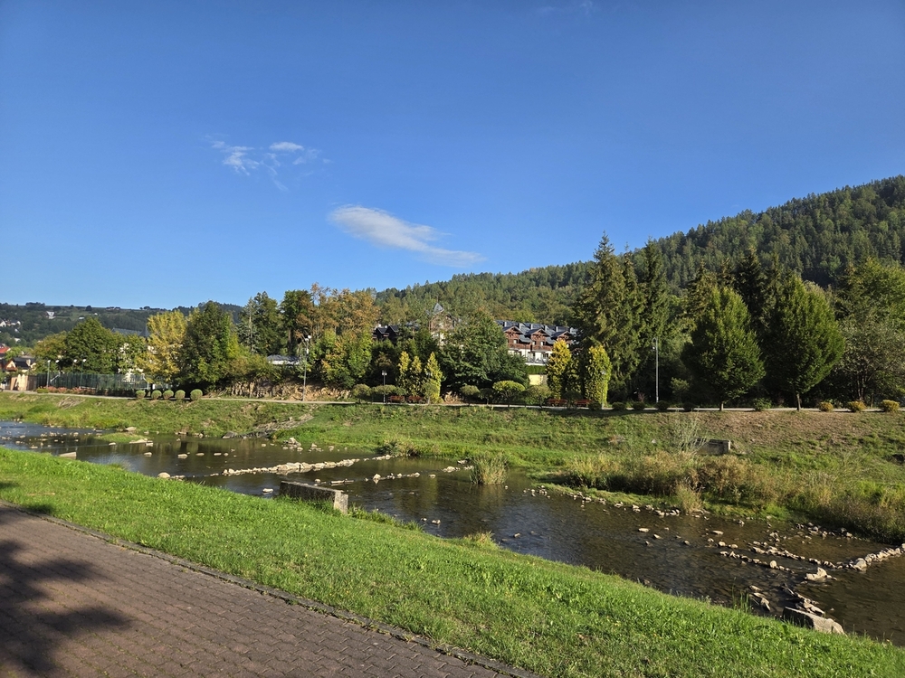 20260919_083701.jpg
