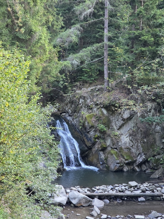 20260919_085333.jpg