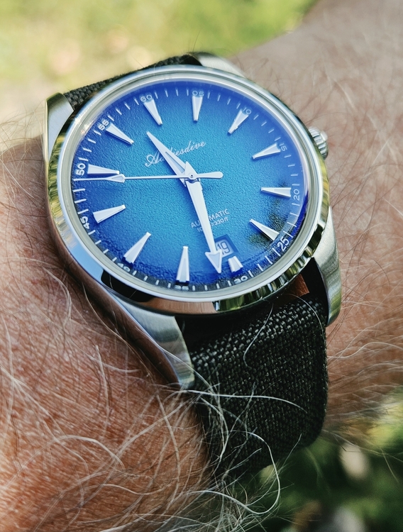 20260919_113148.thumb.jpg.f3dc9575fc8c29db5dac8ac21f4214a5.jpg