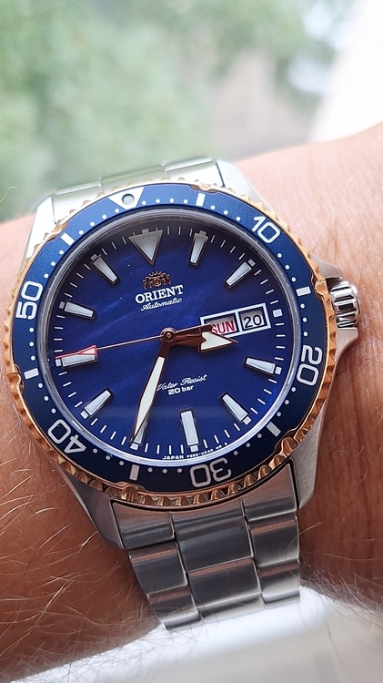 20260920_153540.thumb.jpg.cbe391e59667b3708953524f54e68b76.jpg