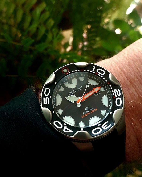 20260929_101341.thumb.jpg.f95ac73a6591d719092c76cedbf46b64.jpg