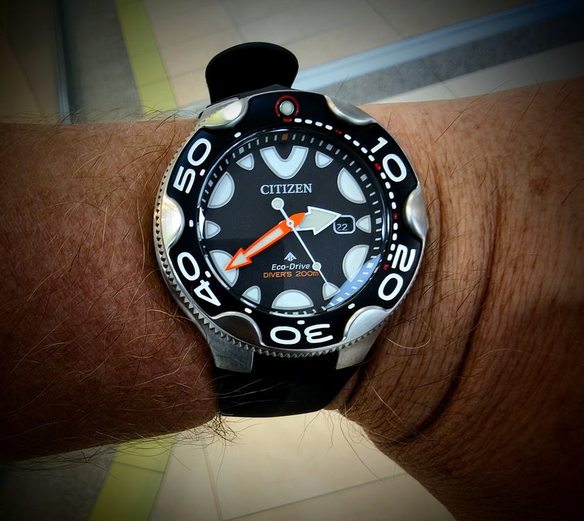 IMG_20260922_143845069_HDR~3.jpg