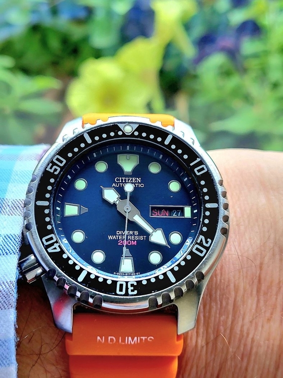 citizen promaster.jpg