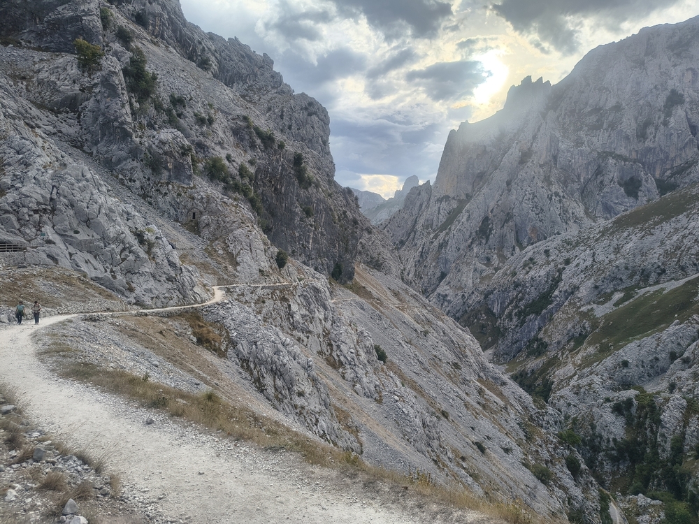 IMG_20260824_092702158_HDR.jpg