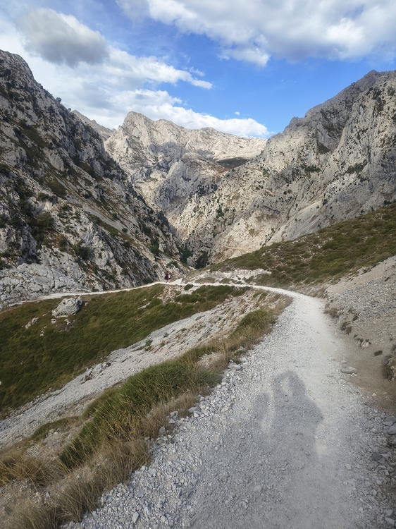 IMG_20260824_094625219_HDR.jpg