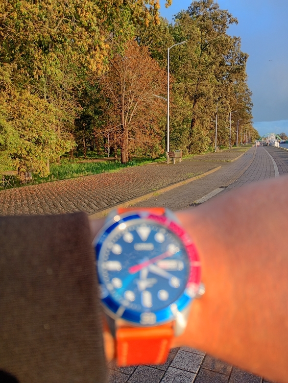 IMG_20260920_182009_HDR.jpg