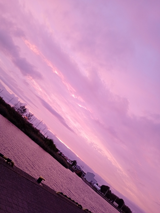 IMG_20260925_185412_MFNR.jpg