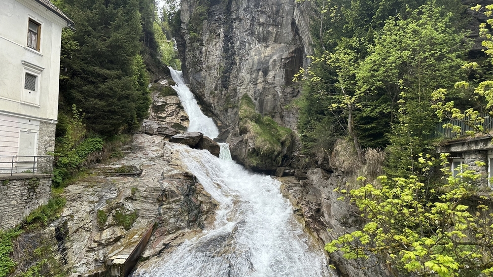 IMG_4801.jpeg