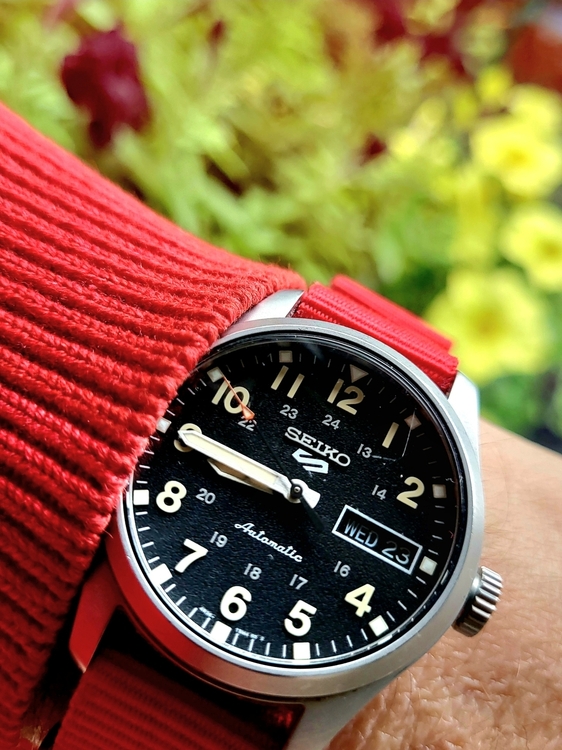 seiko5_2.jpg