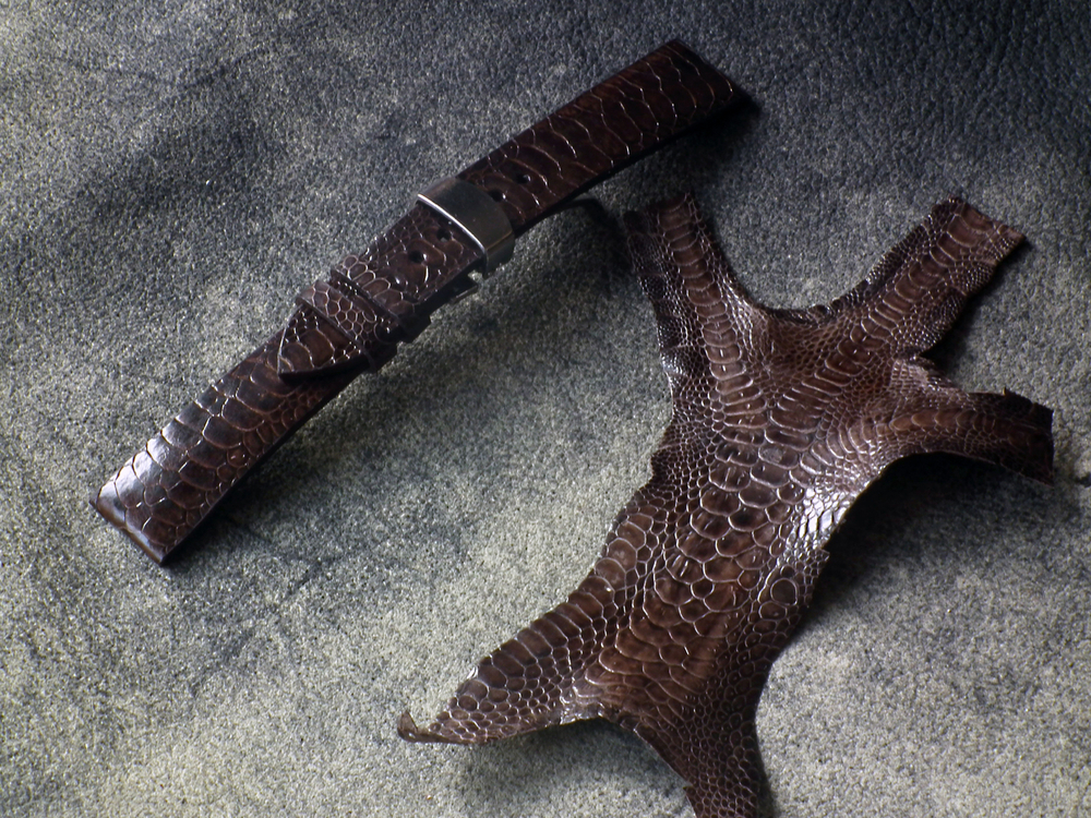 DSCF5093.JPG