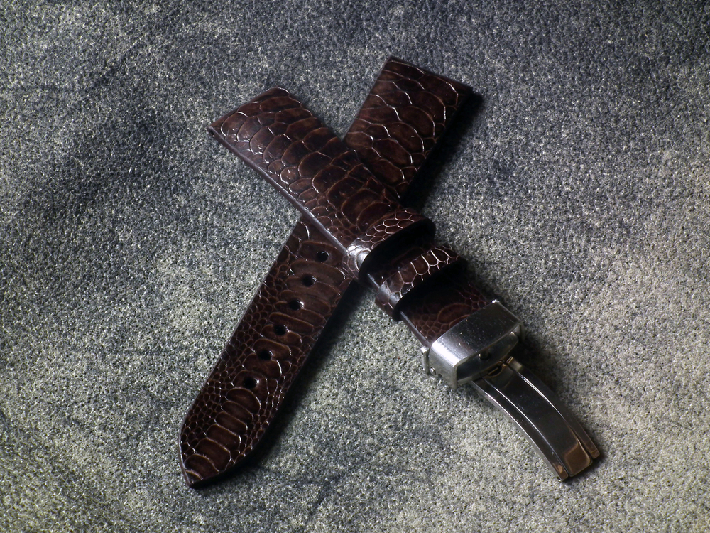 DSCF5096.JPG
