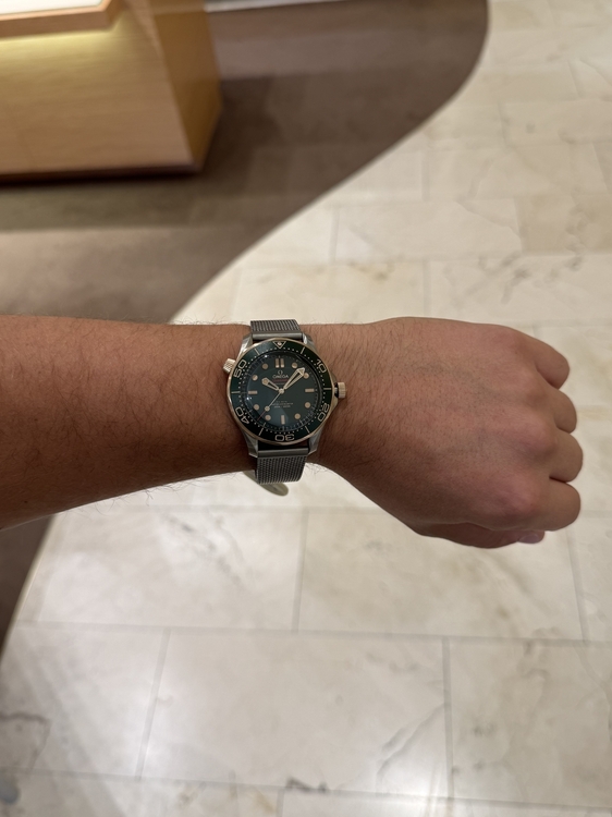 IMG_1706.jpeg